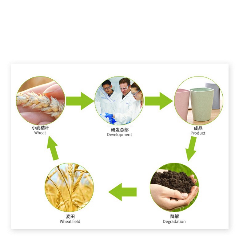 excellent material tooth brush holder supplier