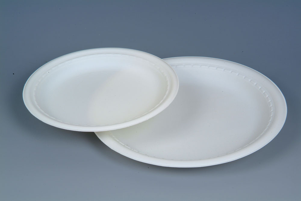 613930983_1733845293