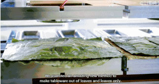 微信图片_20180625160447