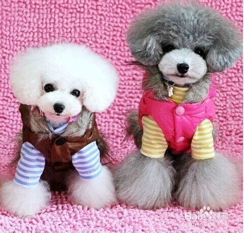 0b46f21fbe096b6348d1ef6208338744ebf8ac3c