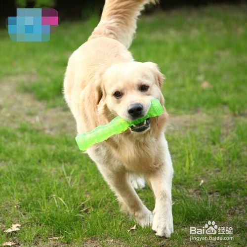 9e3df8dcd100baa13a66bb894310b912c8fc2ebe