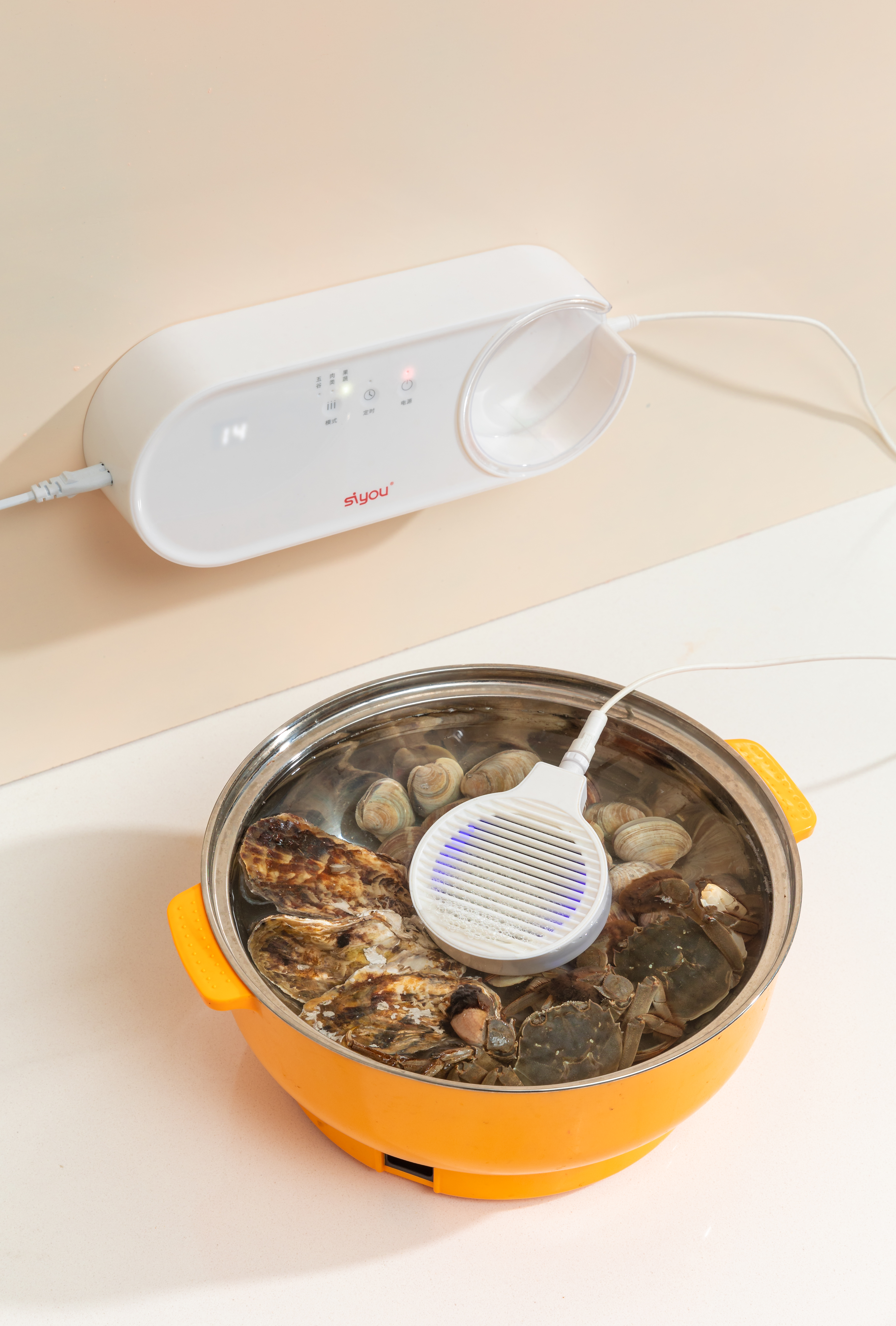 Fruit And Vegetable Purification Washing Machine