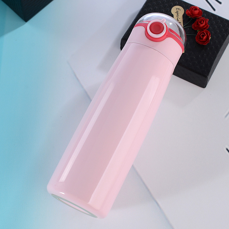 HZ57131 (8) New 304 portable water bottle