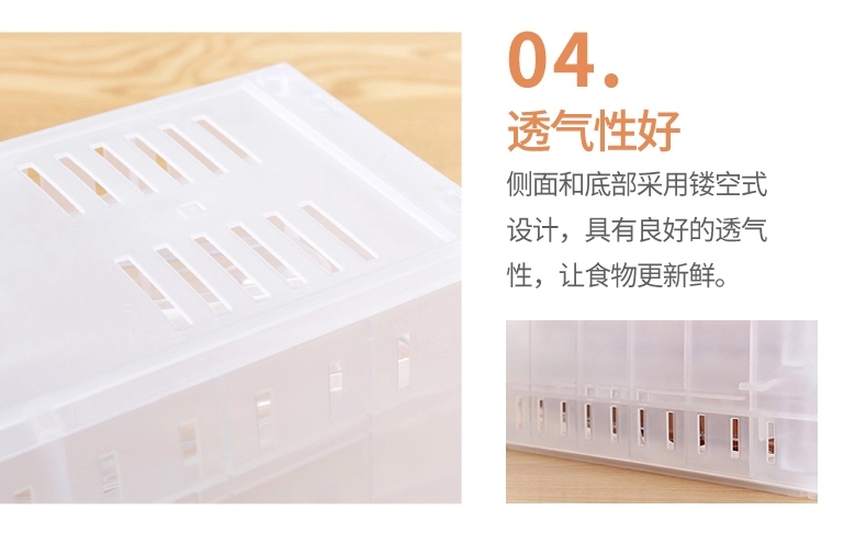 paper mache egg box supplier