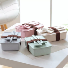Single Layer Healthy Biodegradable Kids Lunch Box With Cutlery Fork Spoon