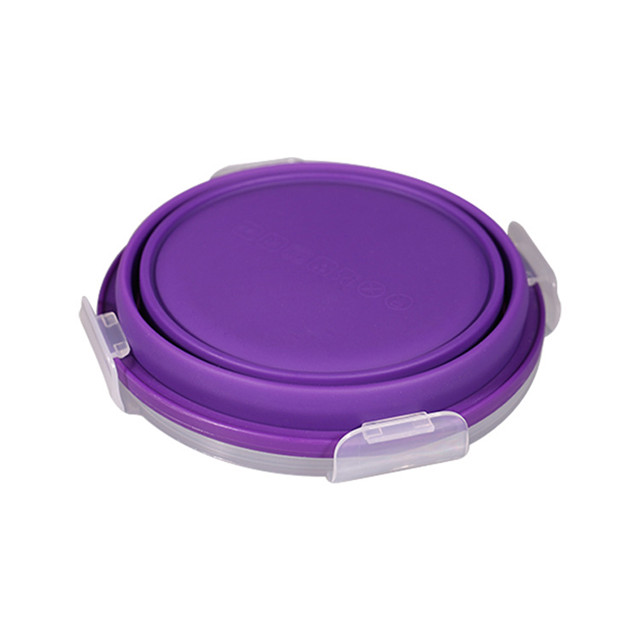 4pcs Silicone Folding Lunch Box, Food Storage Containers