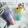 480ml Double Wall Insulated Freeze Cup Plastic Drinking Cups with Straws And Lids