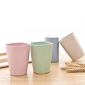 Eco-Friendly Plastic With Straw Toothbrush Case Toothbrush Holder For Home 