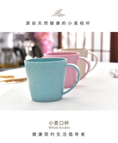 suction cup tooth brush holder Supplier