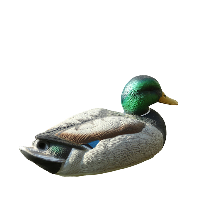 Good Quality Decoys for Green Wing Teal Duck And Goose Hunting