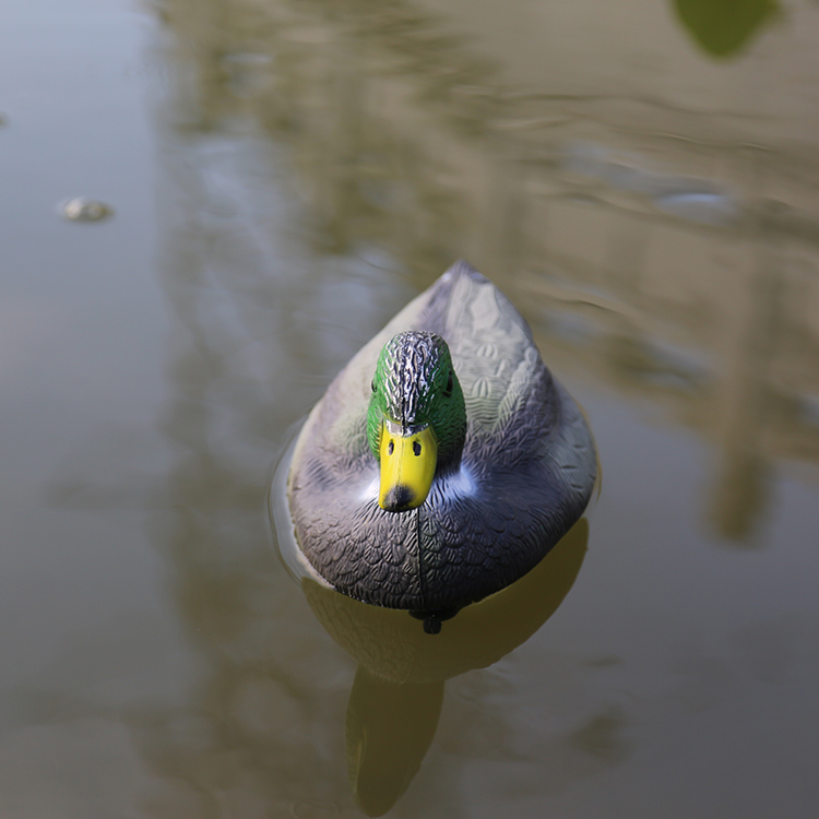 decoy for hunting supplier