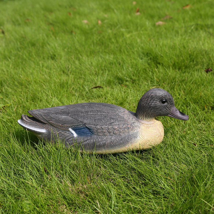 duck decoy hunting