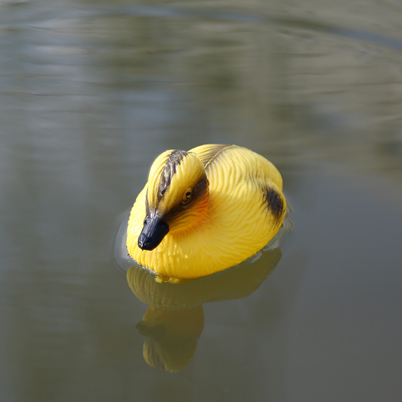 Durable Material XPE Duck Decoy Hunting Shooting Decoy Little Duck for Hunting