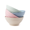 Non-Toxic BPA Wheat Straw Free Noodle Bowl