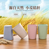 Eco-Friendly Plastic With Straw Toothbrush Case Toothbrush Holder For Home 