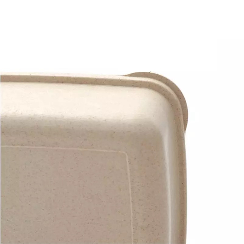 Safe Custom PP Plastic Disposable Bento Lunch Box for Men And Women