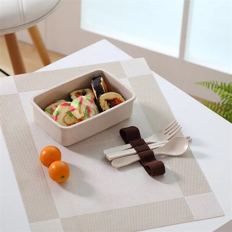 Single Layer Healthy Biodegradable Kids Lunch Box With Cutlery Fork Spoon