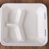8 Inch Environmental Protection Bagasse Container
