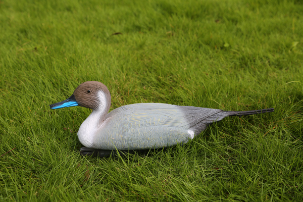 Targeting animals supplier