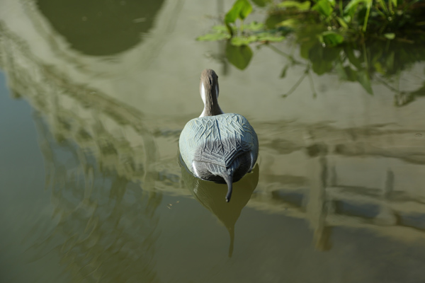 Simulated animals supplier