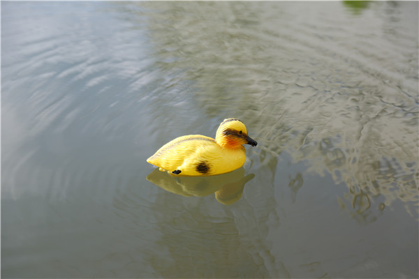 shooting decoy little duck factory