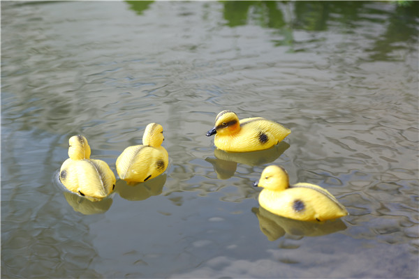 shooting decoy little duck supplier 