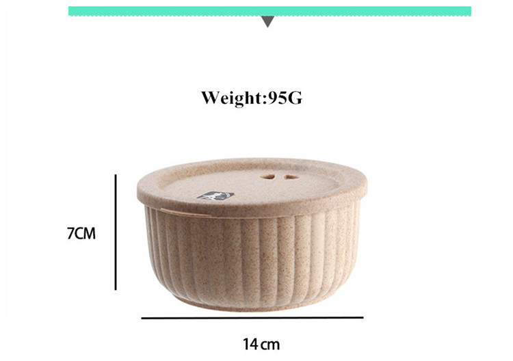 Biodegradable Salad Bowl