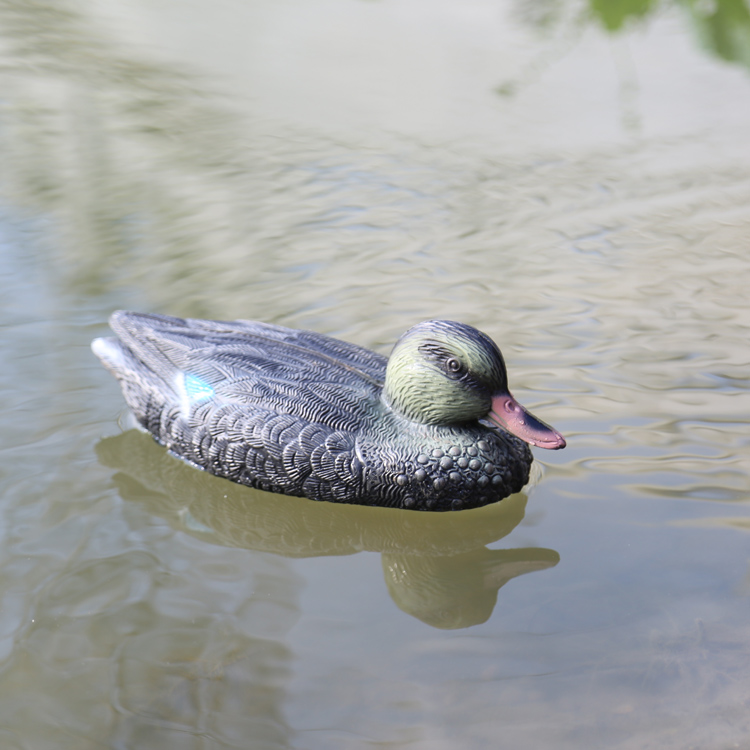 hunting Sarcelle decoy supplier