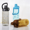 2.7L Promotional Sport Large Hot Sport Big Water Bottle Straw