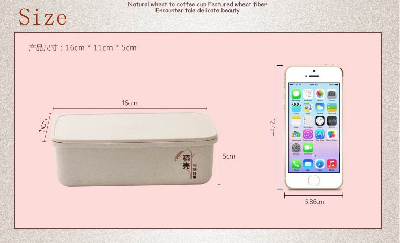 cheap lunch box supplier