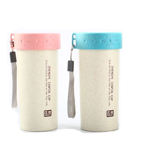 Best Seller 400ml Wheat Straw Double Wall Plastic Water Bottle