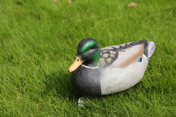 shooting target supplier