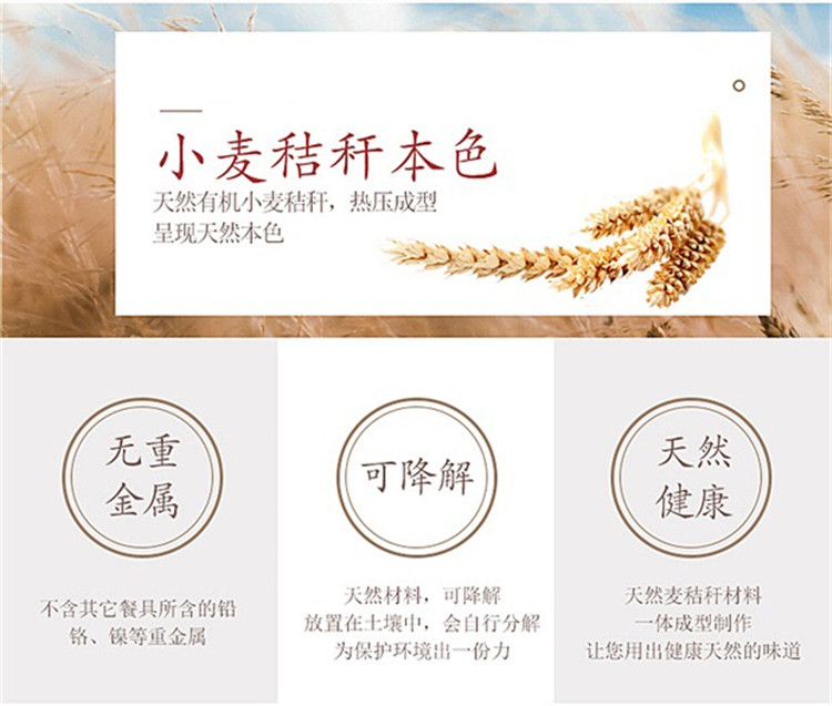 Wheat Straw Water Bottle