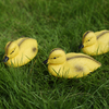Durable Material XPE Duck Decoy Hunting Shooting Decoy Little Duck for Hunting