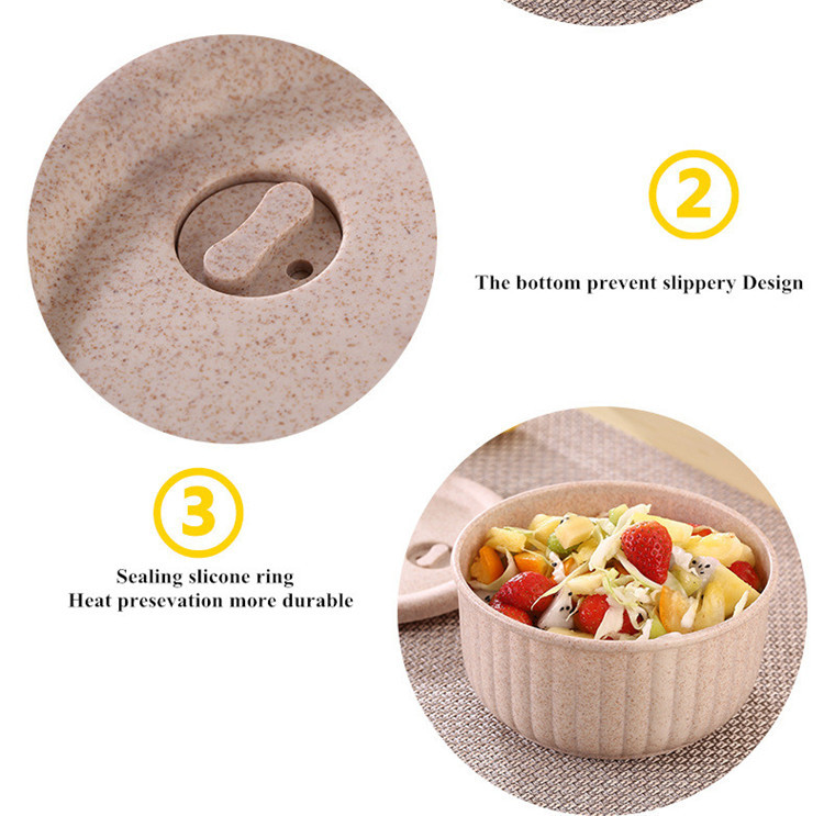 Biodegradable Salad Bowl