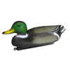 2019 New Design Duck Decoy Hunting Decoy for Hunting Caller 