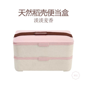 2018 Factory Double Layer Customized Attractive Price Plastic Kid Lunch Box Lunch Holder 