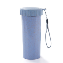 Eco Friendly Reusable Straw Wheat Water Bottle Coffee And Tea Bottle Wholesale 400ml