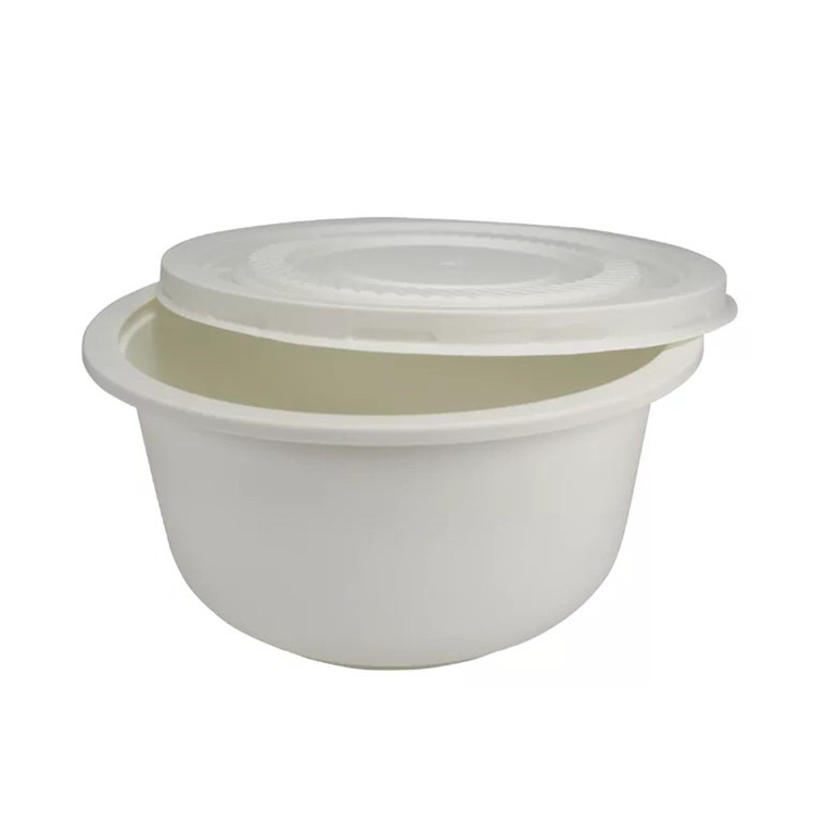  biodegradable package bowl