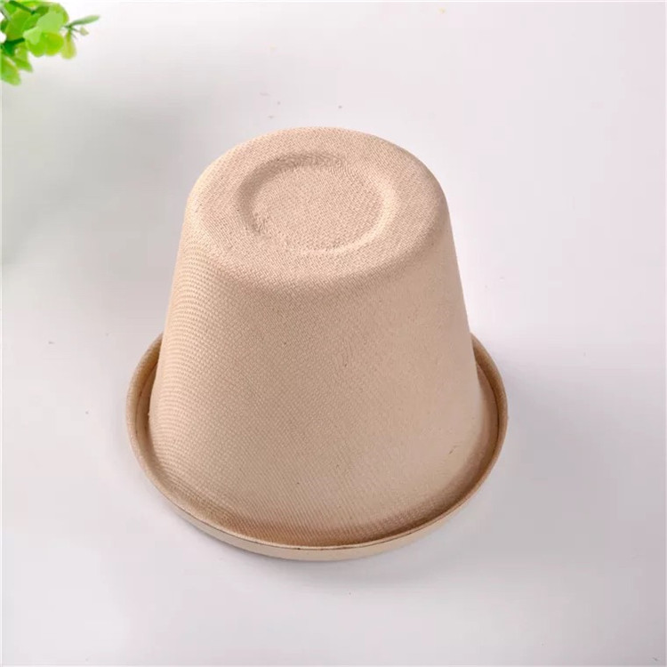 Costom Logo Disposable Paper Cup With Lid
