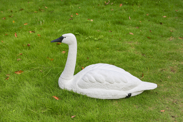 archery target supplier