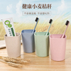 Eco-Friendly Plastic With Straw Toothbrush Case Toothbrush Holder For Home 