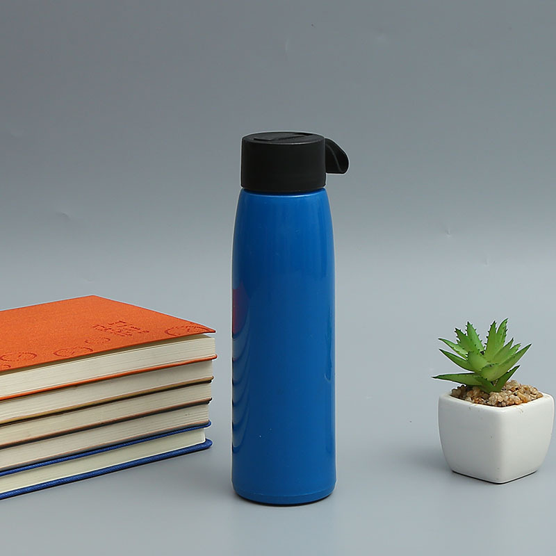 Factory Wholesale Promotional Gift Plastic Glass Double Wall Water Bottle