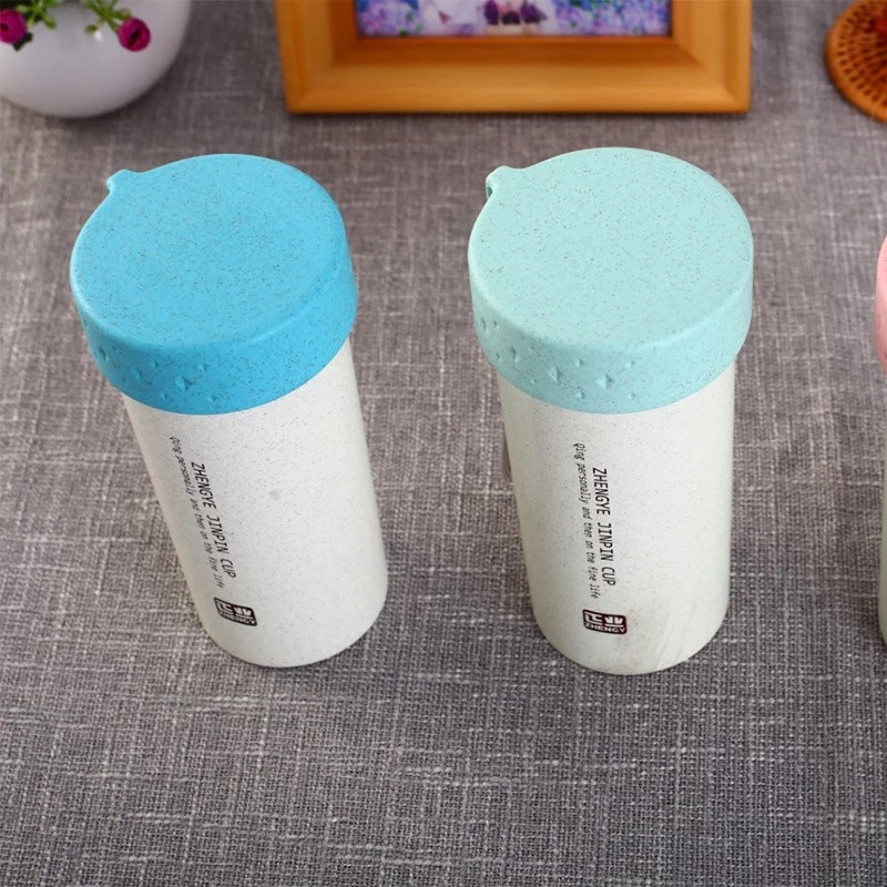 Best Seller 400ml Wheat Straw Double Wall Plastic Water Bottle