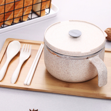 Biodegradable Plastic Ceramic Soup Bowl With Lid Stainless Steel