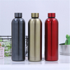 Double Wall Stainless Steel Water Bottle, 500 ML Custom Color Vacuum Insulated Stainless Steel Water Bottle