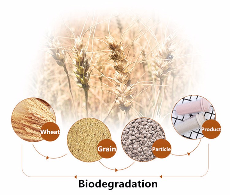  Wheat Straw Water Bottle Supplier