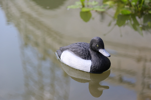 titanium target supplier