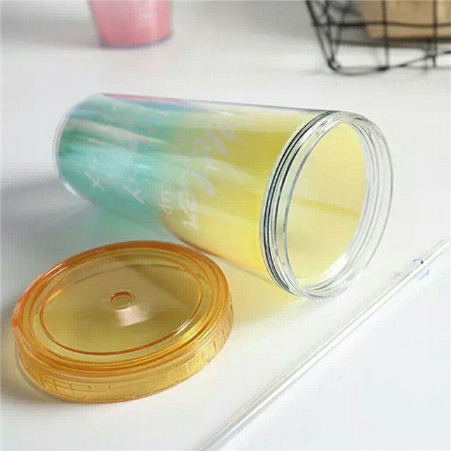 480ml Double Wall Insulated Freeze Cup Plastic Drinking Cups with Straws And Lids