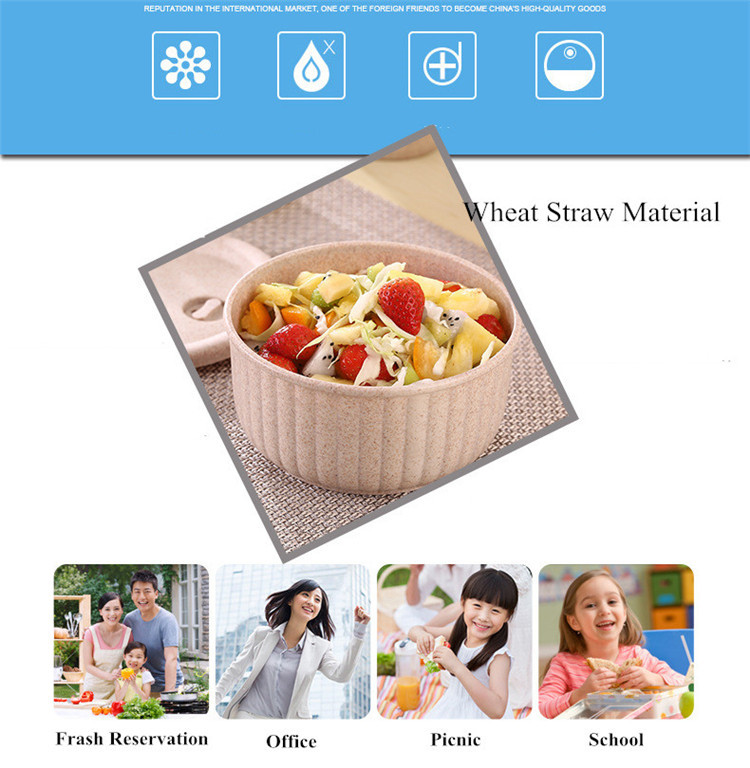 Biodegradable Salad Bowl